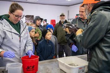 DNR staff shows onlookers a salmon captured for egg collection.