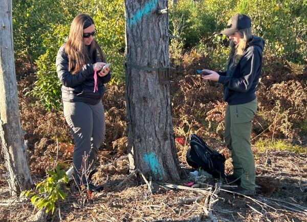 Wildlife biologists Shelby Adams and Angela Kujawa hang trail cameras