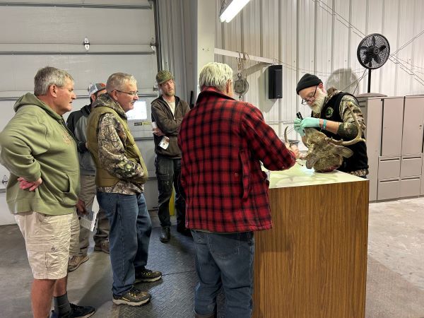 Steve Griffith, wildlife biologist, ages deer