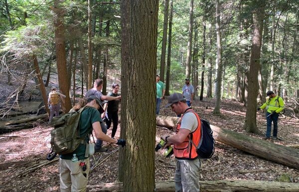 Hemlock Wooly Adelgid training