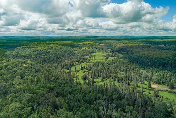An aerial summery view of the acquired Black River Ranch property.