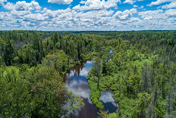 An aerial view shows one of the premier trout streams located on the Black River Ranch property.