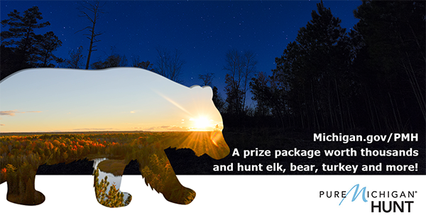 Pure Michigan Hunt graphic with bear silhouette