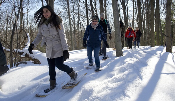 Half a dozen people in winter coats, hats and other gear snowshoe through the sunny, snow-covered forest at Hoffmaster State Park