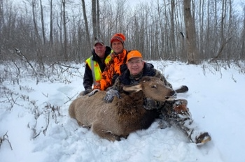 Whitmire elk harvest