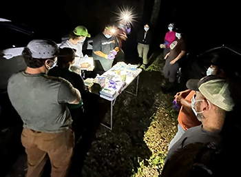 Bat Blitz team members collect data from a captured little brown bat.