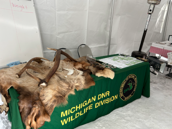 DNR tent at elk pole