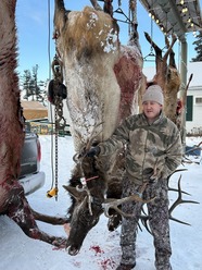 Elk harvest