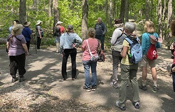 More than a dozen people in T-shirts and long pants, some with binoculars, on a trail in a sunlit, shadowed forest area