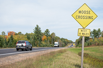 Cars pass by a "Moose Crossing" sign along M-95 in Marquette County.