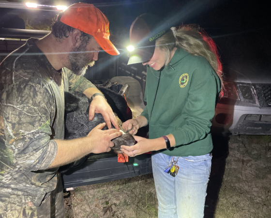 Rachel L registers bear