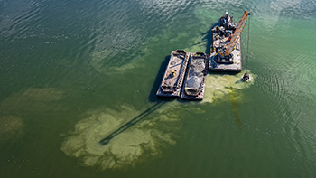 The newly constructed Channel Island Reef is about 2.5 acres, approximately 190 feet wide and 570 feet long. 