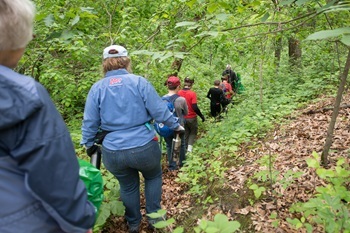park stewardship volunteers walk through a forested area, ready to help remove invasive species from a park's natural area