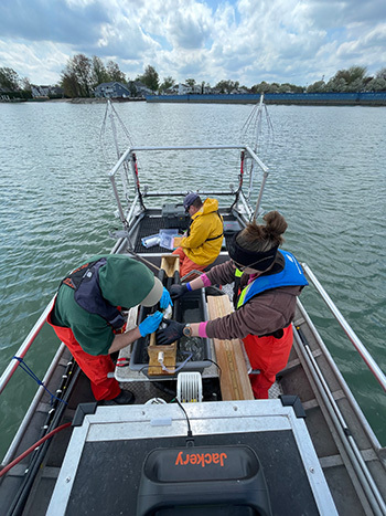 Captain Brad Utrup and fisheries research technicians Jason Pauken and Stacey Ireland implant a Smallmouth Bass with an acoustic telemetry tag.