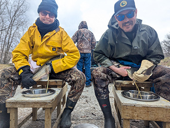 Department of Natural Resources crews will collect milt (sperm) and eggs from approximately 520 adult fish on-site this spring.