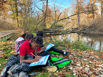 Students polish their observation skills while visiting a stream.