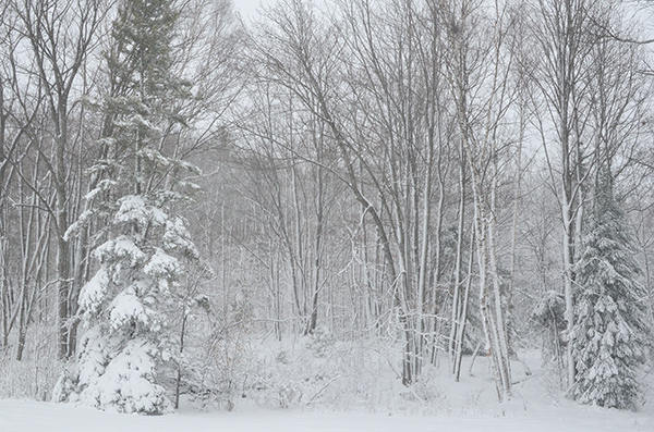 Winter scene near Marquette