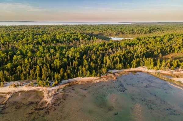 aerial view of a densely forested, shoreline area of Wilderness State Park in Emmet County, Michigan