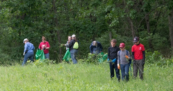 several women and young adults, in long sleeves and pants, some holding garbage bags, pick invasive plant species in grassy forest area