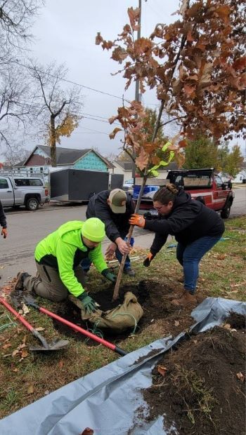 Group planting a tree in a residential neighborhood