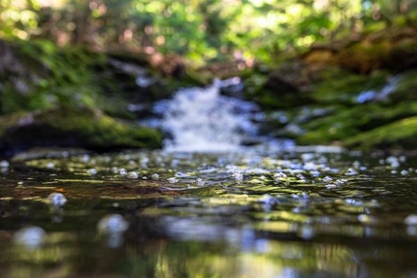 Water bubbles gently along a stretch of Trap Falls, with moss-covered rocks and greenery at Porcupine Mountains Wilderness State Park