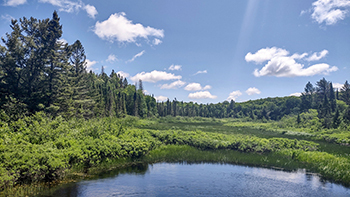A pond is shown on a summery day in the Michigamme Highlands.