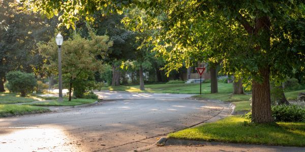 Residential street in Lansing, shows the road and trees after it rained