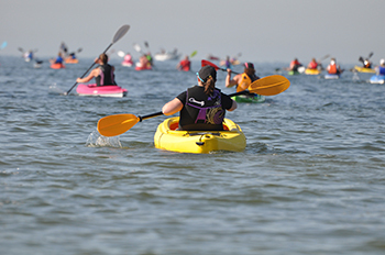 group of kayakers paddling on Great Lakes Way