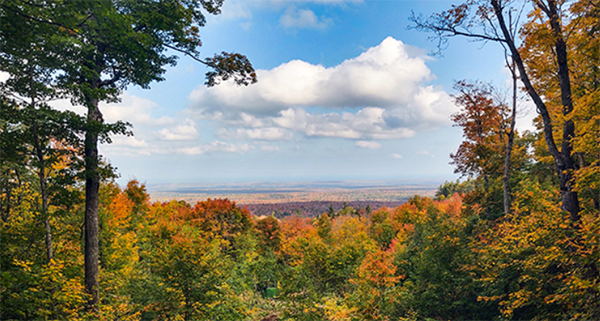 View of land in Michigamme Highlands transaction