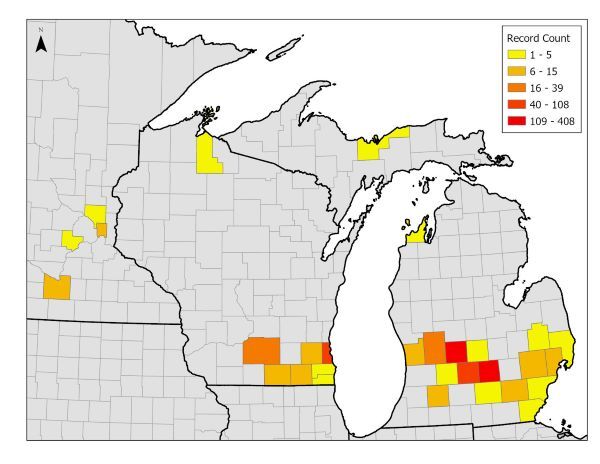 A map showing lesser celandine-infested counties in Michigan, Wisconsin and Minnesota
