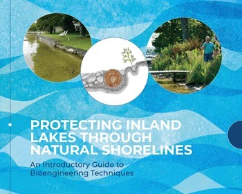 Introduction to Bioengineering Guide cover