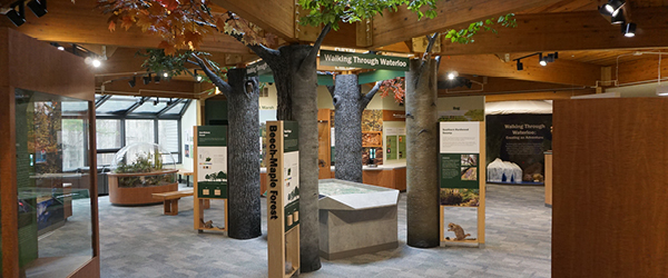 An image showcasing a newly updated interior at the Eddy Discovery Center. 