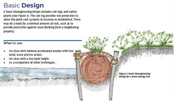 Cross section of a basic design for bioengineering