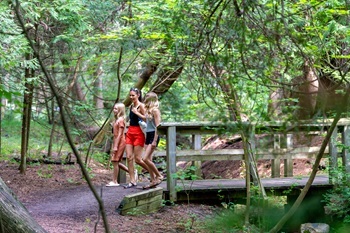 three girls in T-shirts and shorts walk across a trail bridge at Harrisville State Park in a forested area