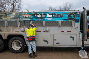 Department of Natural Resources fish stocking trucks will travel well over 100,000 miles to stock more than 1,000 locations this spring.