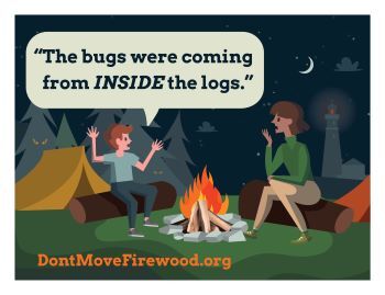 A cartoon of a mother and child at a campfire. The child says, "The bugs were coming from inside the logs."