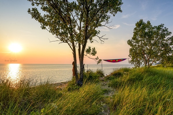 a red hammock hangs between trees on a sunlit, sandy ridge along Lake Michigan at Saugatuck Dunes State Park