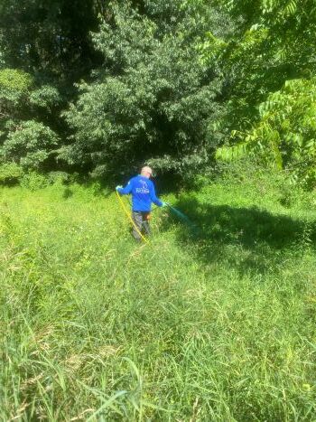 A man in a field uses a long hose and sprayer to treat mile-a-minute weed with pesticide.