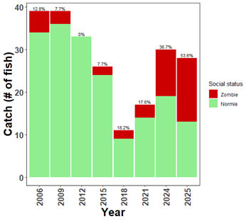 Complex chart: Catch of siscowet lake trout at Superior Maximus (about 1,320 ft) in south-central Michigan waters of Lake Superior.