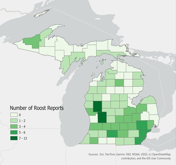 Bat roost reports 2025