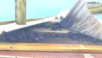 Bat roosts