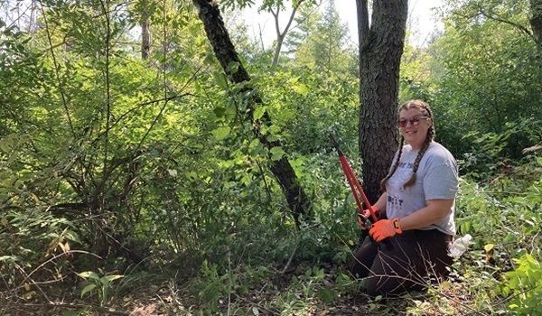 Volunteer crouching with woody shrubs with loppers in hand, ready to remove the shrubs. 