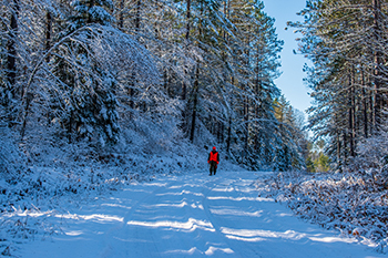 A hunter is shown out on a beautiful November day in Iron County.