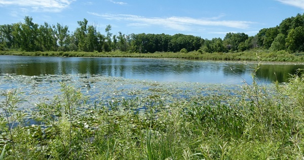 A small (0.2-acre) waterfront parcel with 70 feet of frontage on Buckhorn Lake and access to Buckhorn Lake Road near Holly.