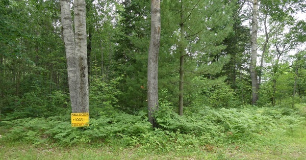 A forested, 2.9-acre parcel with access to Lenard Road near Oscoda
