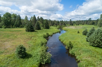 A narrow river cuts through lush, green land on the Black River Ranch property, framed by forest and blue sky with clouds