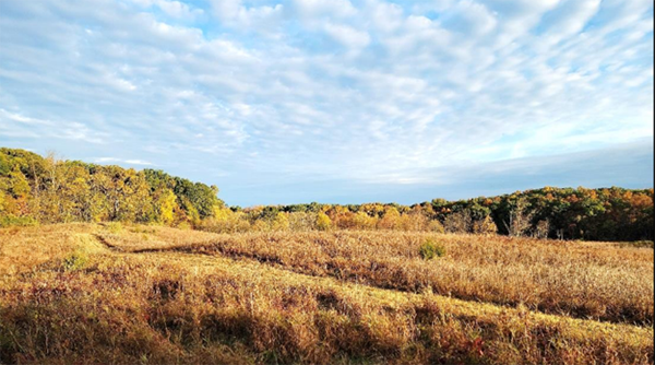 Bavin land transaction view