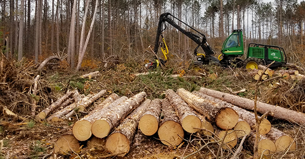 A Good Neighbor Authority timber harvest on federal land is shown in process.