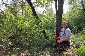 a woman holding a two-handled lopper removes invasive species in a forested area