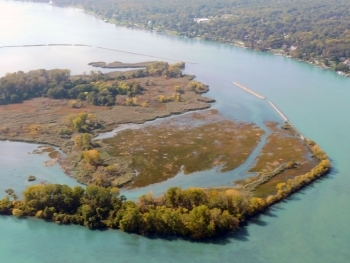 Pointe Mouillee wetland